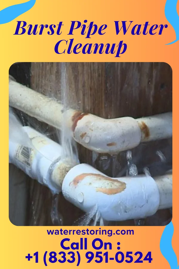 Burst Pipe Water Cleanup in Norfolk, VA