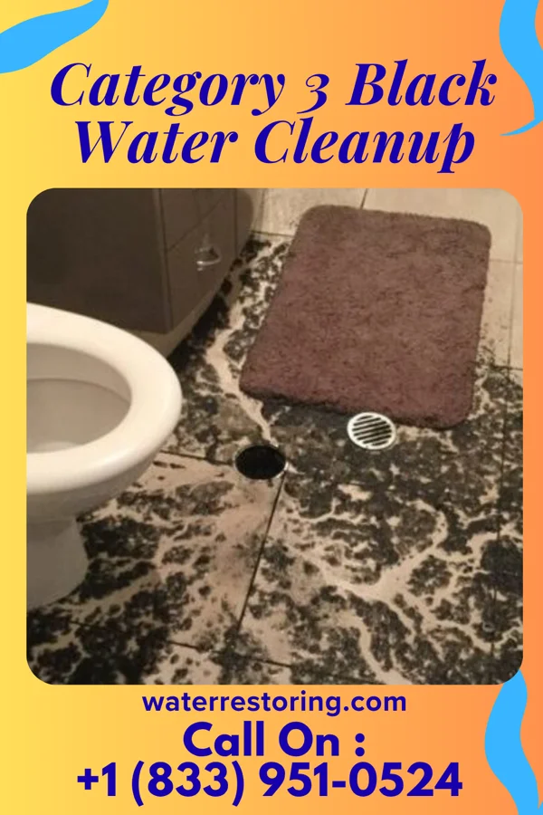 Category 3 Black Water Cleanup in Norfolk, VA