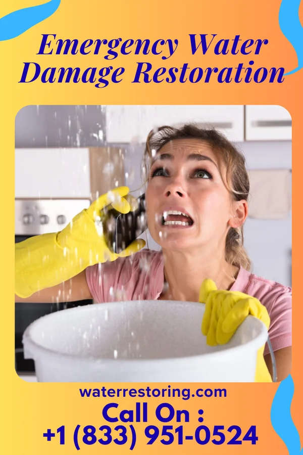 Emergency Water Damage Restoration in Norfolk, VA