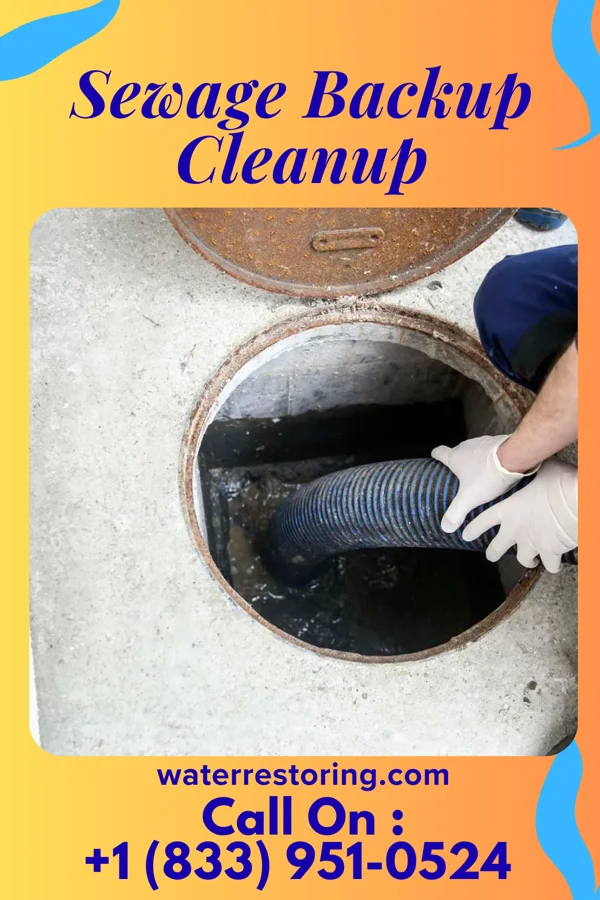 Sewage Backup Cleanup in Norfolk, VA