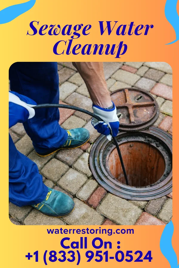 Sewage Water Cleanup in Norfolk, VA
